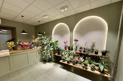 No Takie Kwiatki - KWIACIARNIA